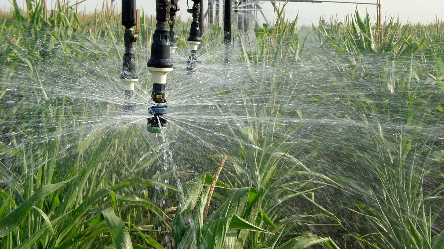 Bani pentru sistemele  de irigații din România 70609