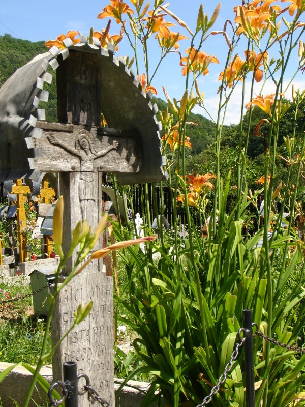 Invitație la discernământ 70594