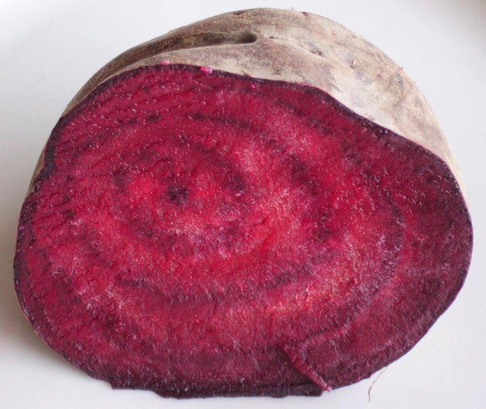 Sfecla roșie, păstârnacul și ridichile în fitoterapie 70583