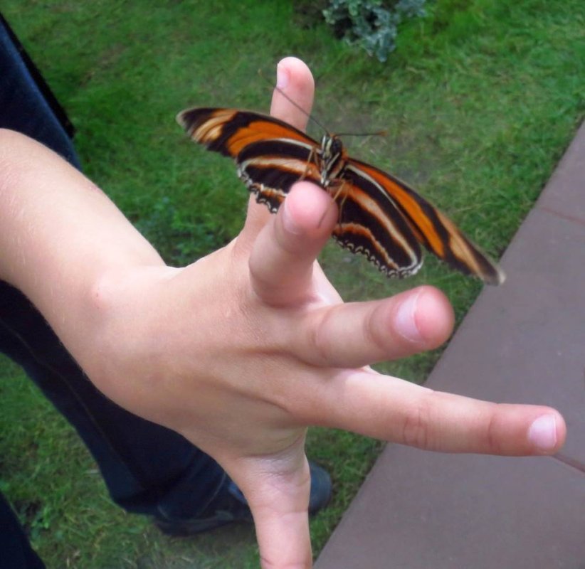 Expoziţii care ne-au încântat sau ne pot încânta 70443