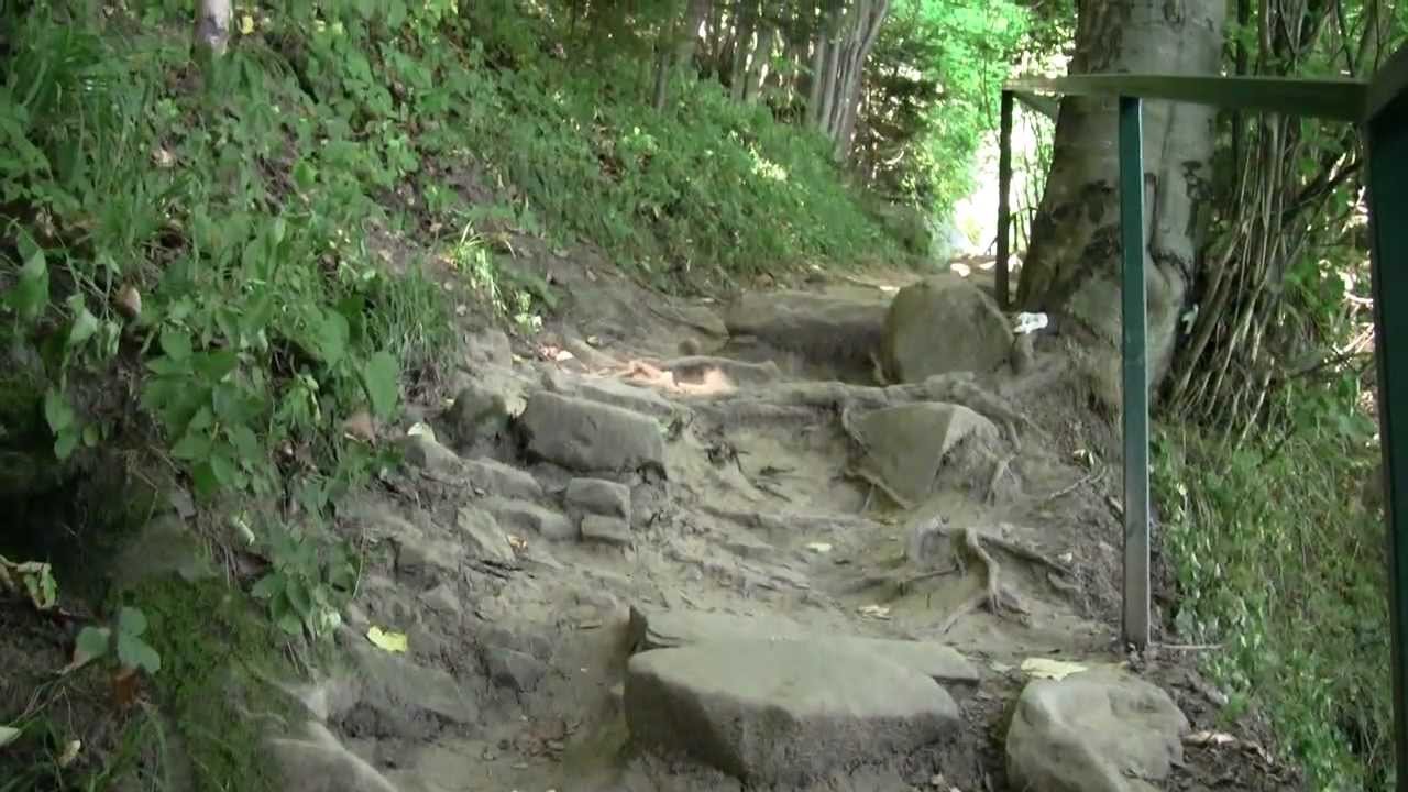 Sfânta Teodora, podoaba neprețuită a pustiei nemțene 123015