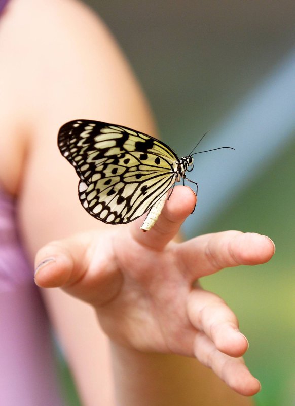 Un nou modul  al Şcolii de vară de la Muzeul „Grigore Antipa”   70168