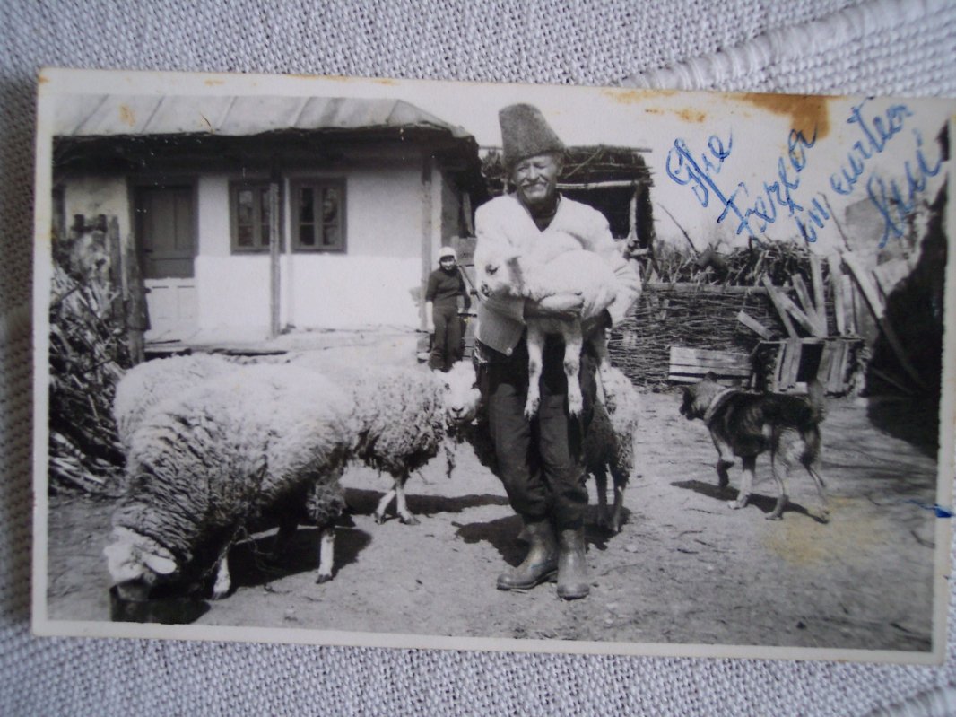 Epistolele și prietenia de altădată (IV) 69876