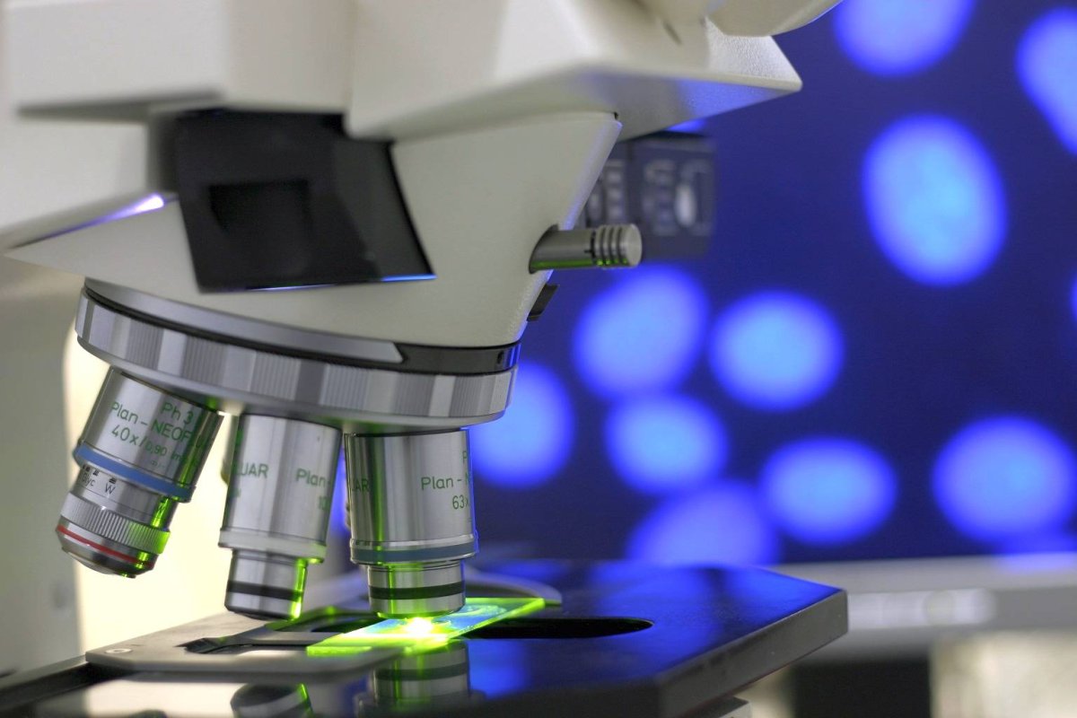 Fonduri europene pentru  relansarea cercetării româneşti 69741