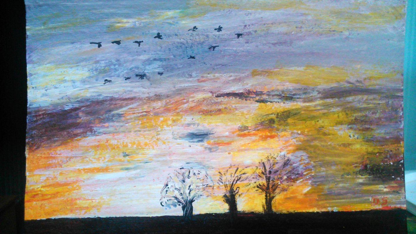 Brazda de acasă și cerul de deasupra 69664