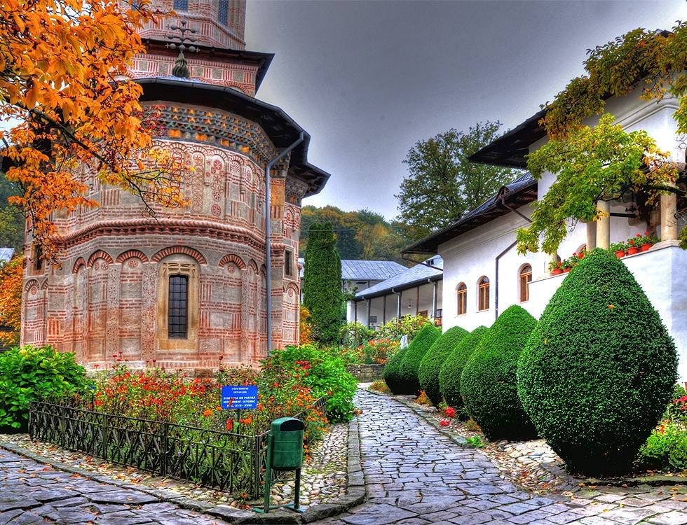 Poiană în drumul spre cer 69633