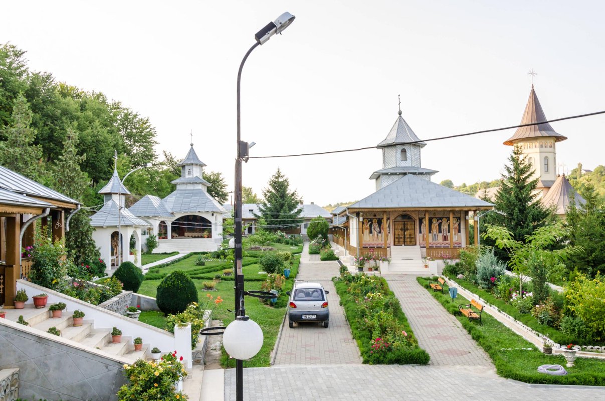 Lucrarea ziditoare a Sfântului Teodosie de la Brazi 69484