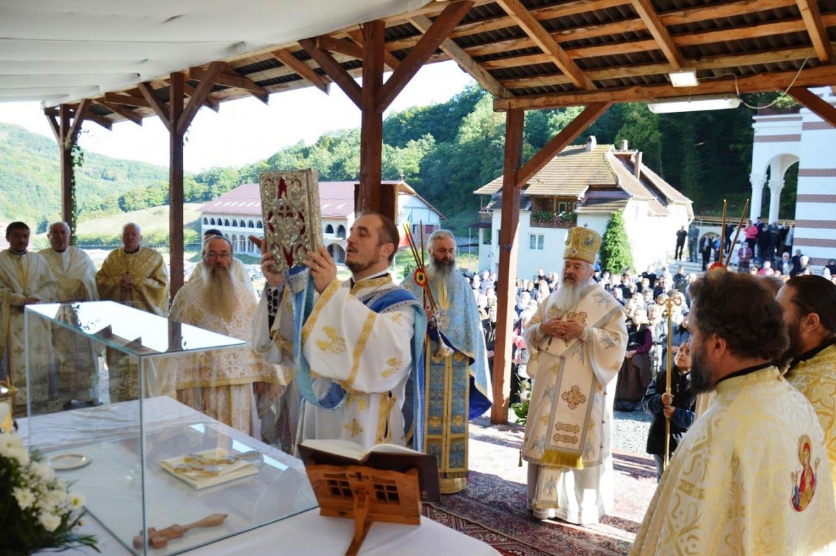 Maica Domnului, pururea grabnică ajutătoare 69241