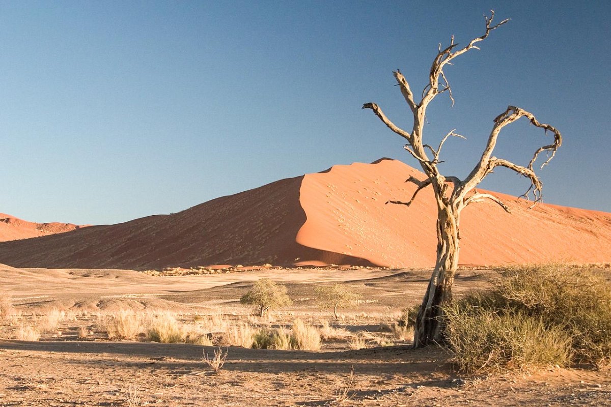 Binele făcut altfel 69191