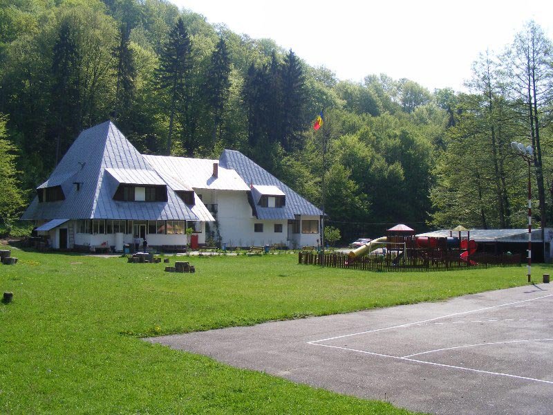 Tabără de creaţie pentru copiii cu deficienţe 69180