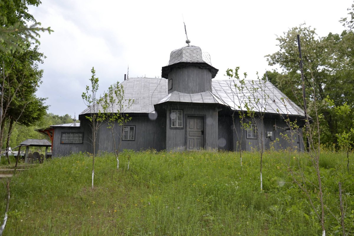 Ocrotitoarea Ludașilor 69139