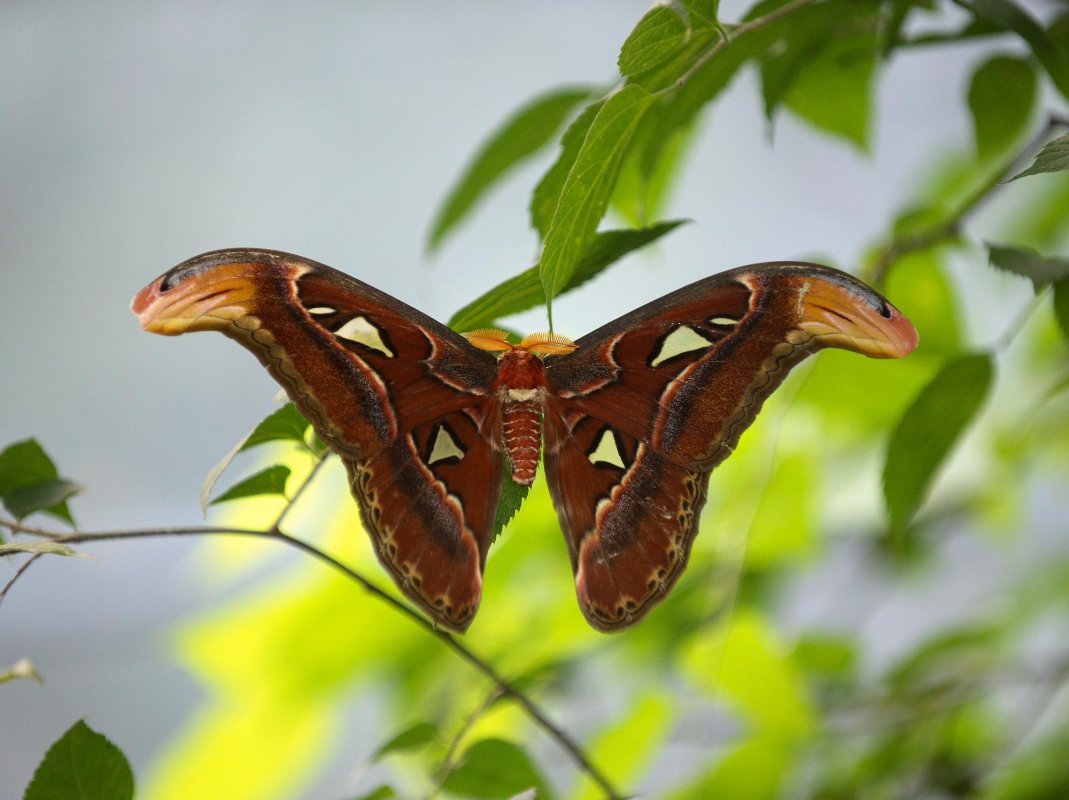 Certitudinea nădejdii 68941