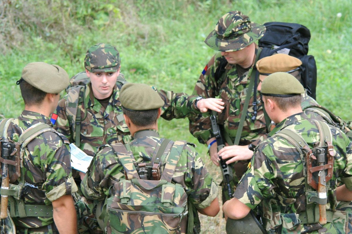 Orice civil poate deveni rezervist militar voluntar 68893