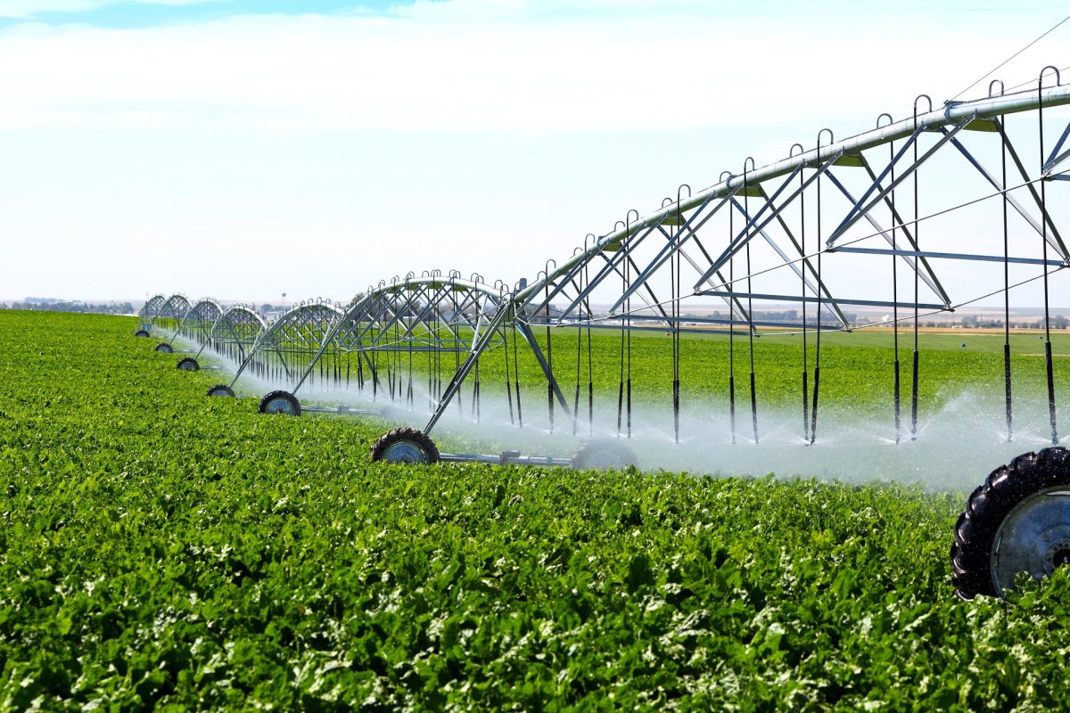 Reabilitarea sistemului naţional de irigaţii 68856