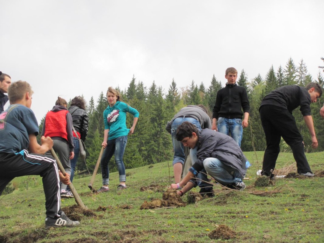 Amplă campanie de împădurire, pe 14 noiembrie 68782