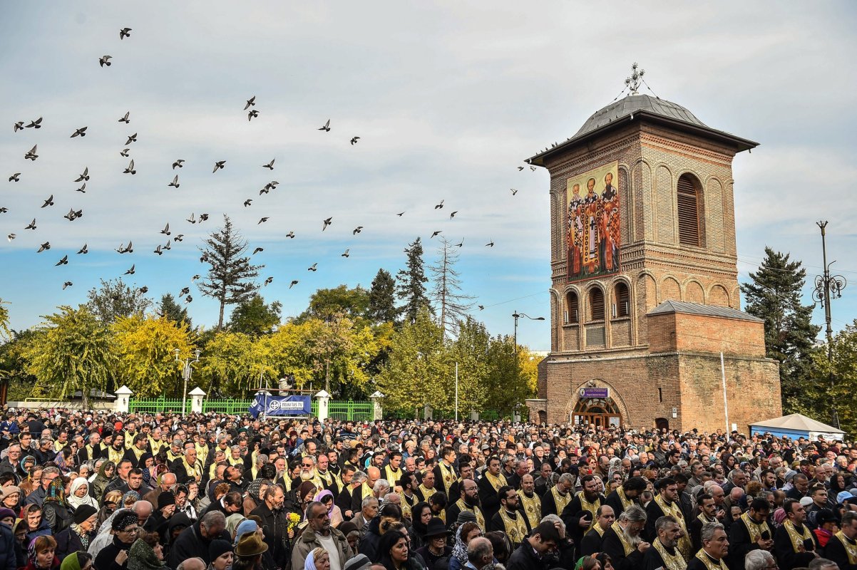 Cuviosul cel smerit, Ocrotitorul nostru 68613