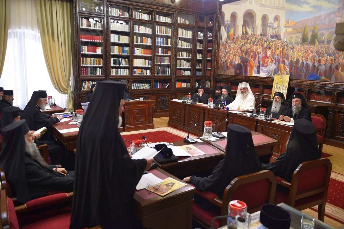 Raport-sinteză privind activitățile din anul 2015 68578