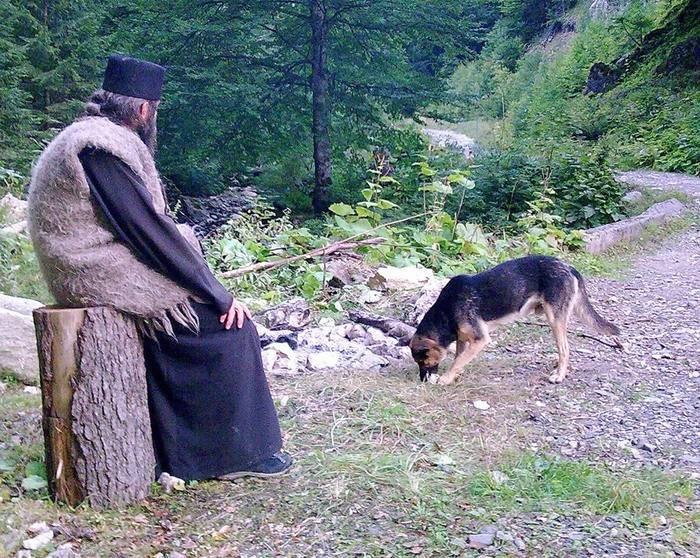 Dragostea învinge demonii 68560