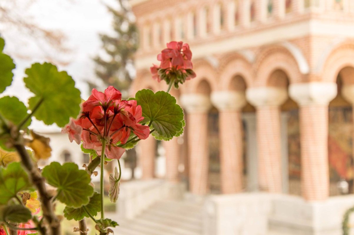 Toate câte ne stau împotrivă pot deveni câștiguri pentru noi 68304