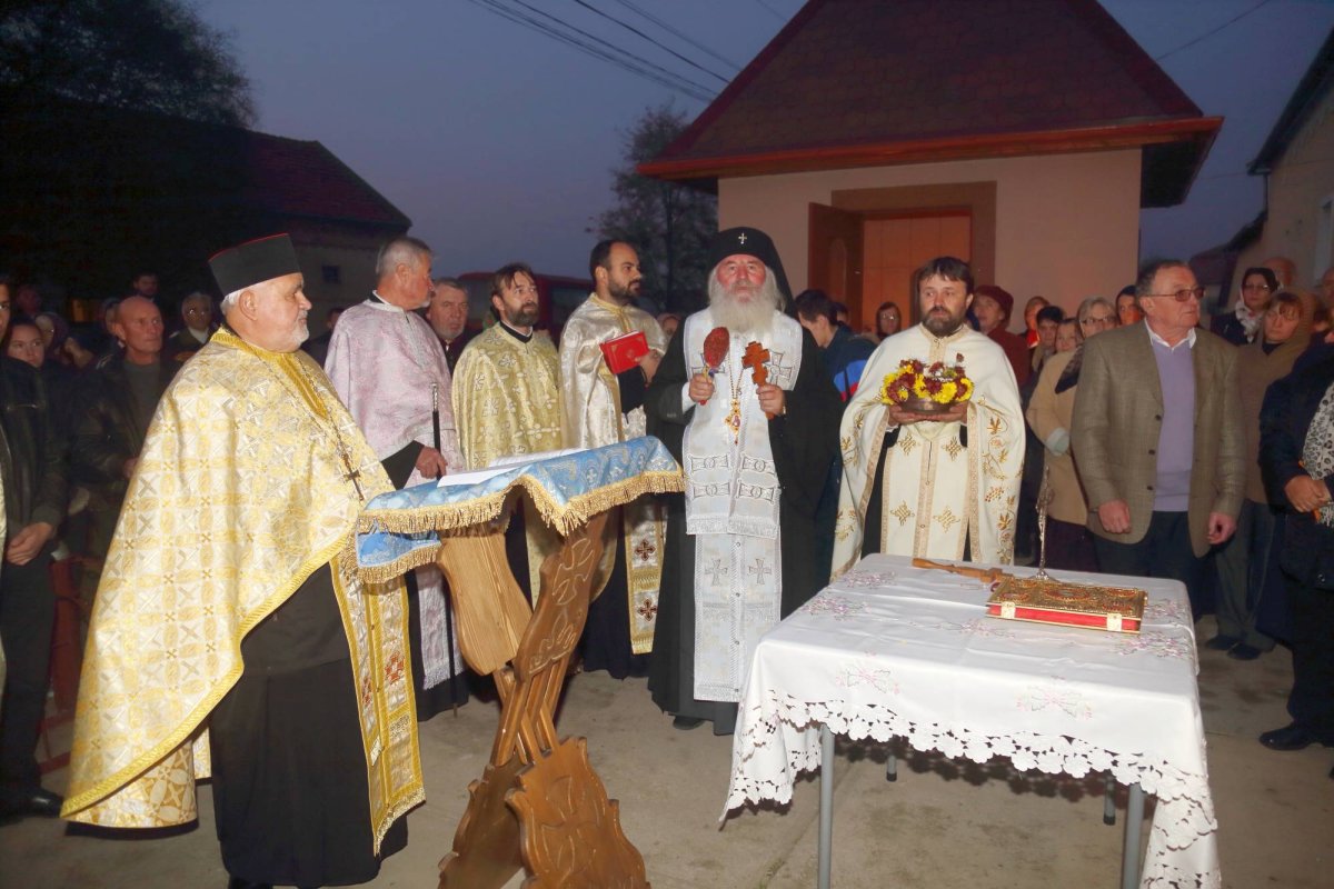 Vizite chiriarhale în parohiile Recaș II și Iecea Mare 68184