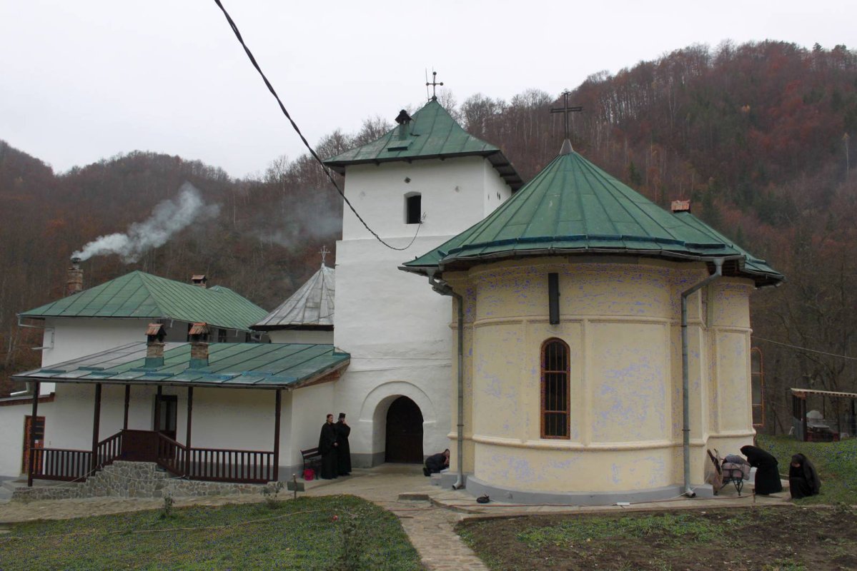 Sfântul Antonie de la Iezer, prăznuit în Arhiepiscopia Râmnicului 68087