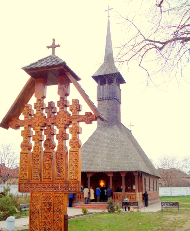 Porți deschise la Direcția de Dezvoltare și Asistență Comunitară Arad 68065