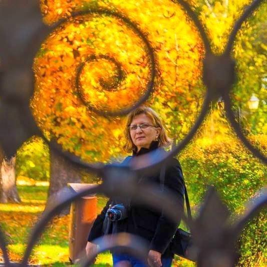 Roman în curs de apariție (fragment): Îngerii din Moscopole.  Istorii îngemănate 68046