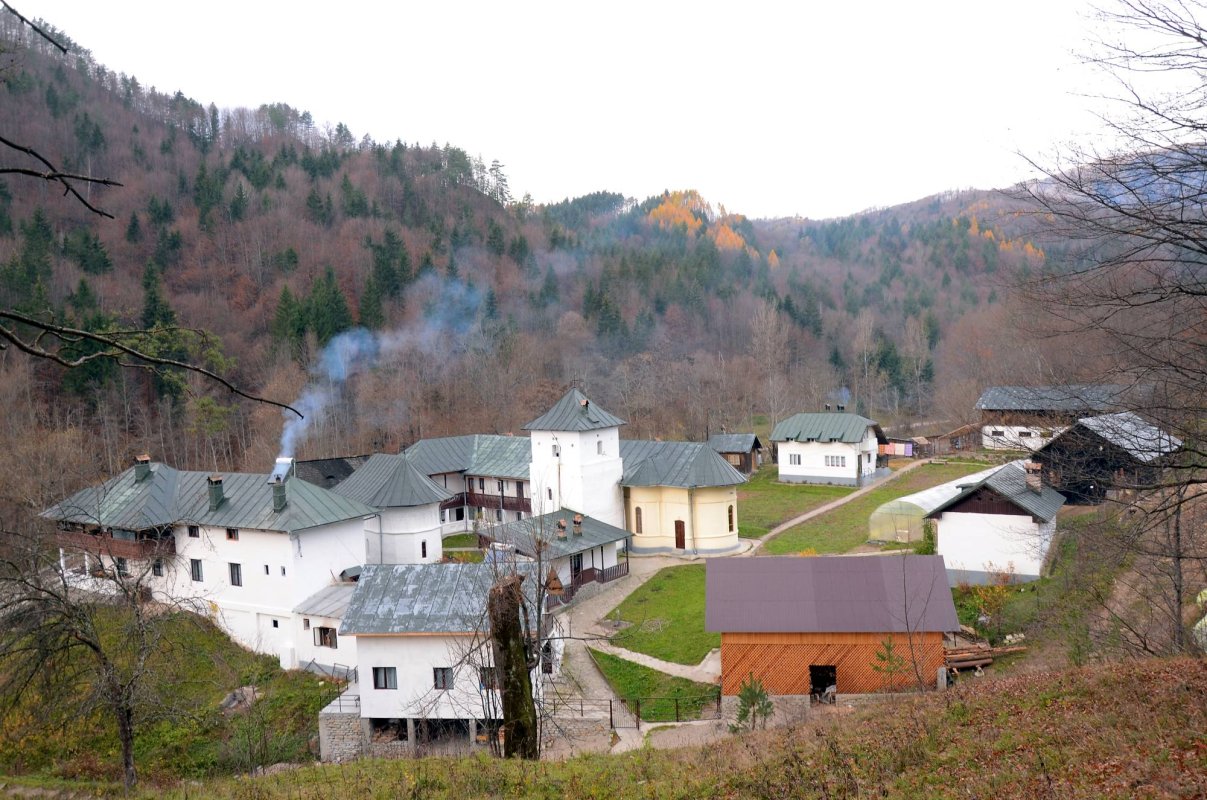 Praznicul Sfântului Cuvios Antonie de la Iezerul Vâlcii 68032