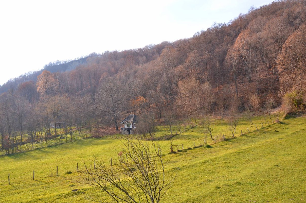 Recunoștință pentru mama 68017