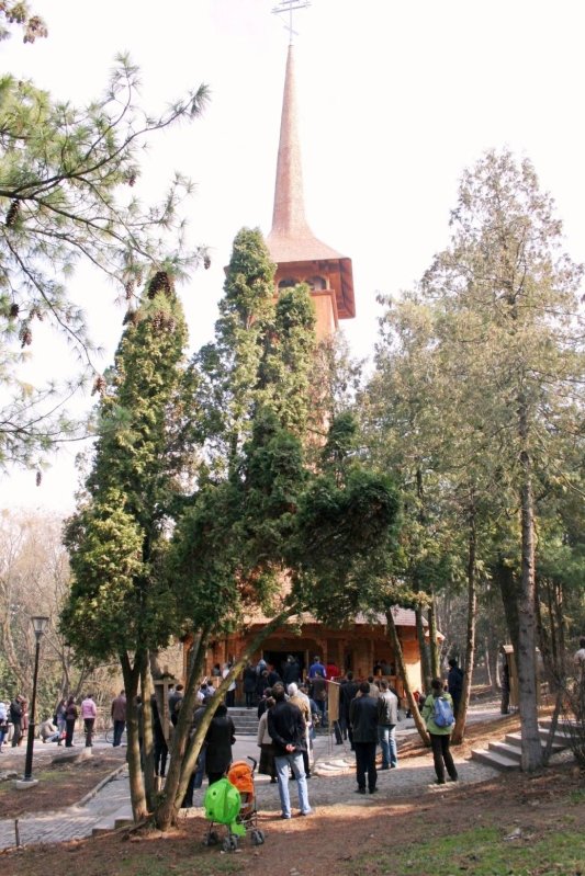 Evenimente culturale şi duhovniceşti ale ASCOR Cluj  67979