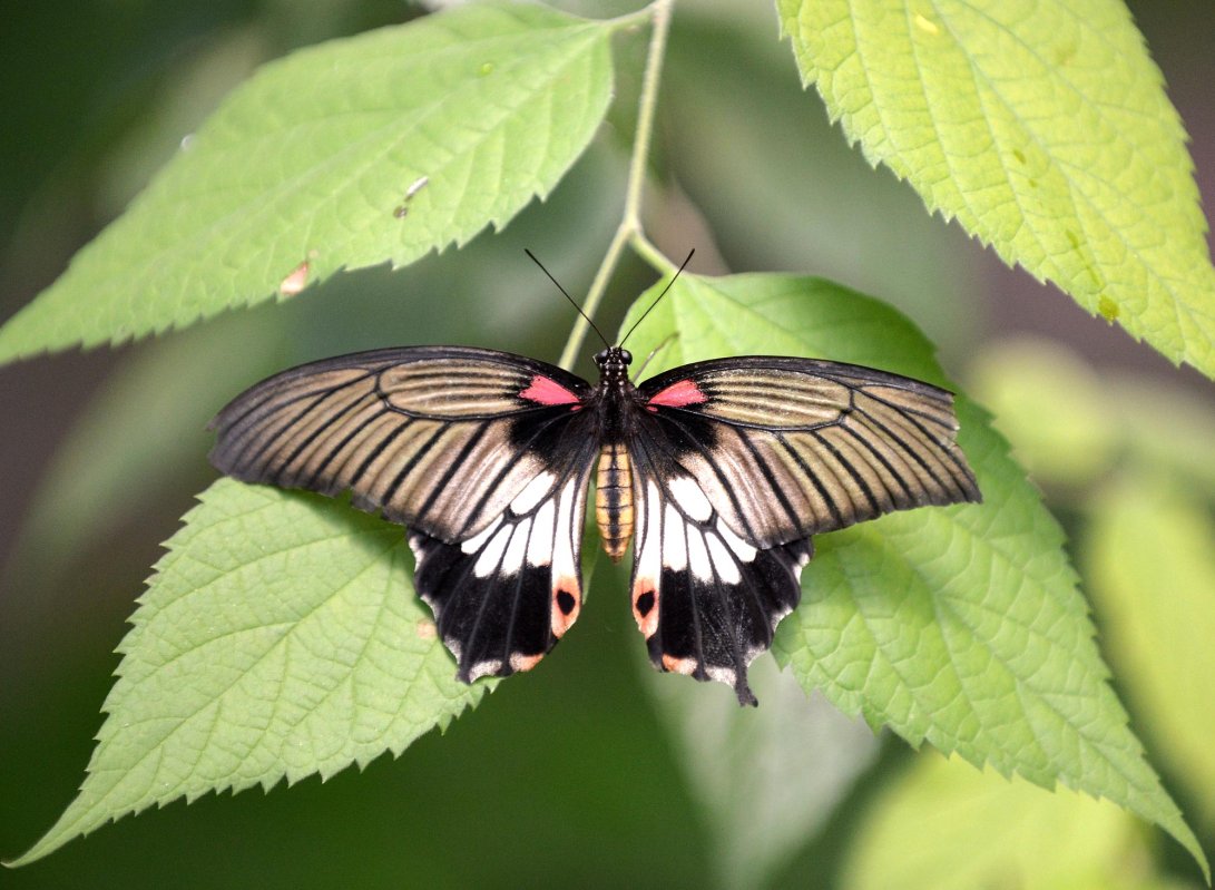 Cămările conștiinței 67859