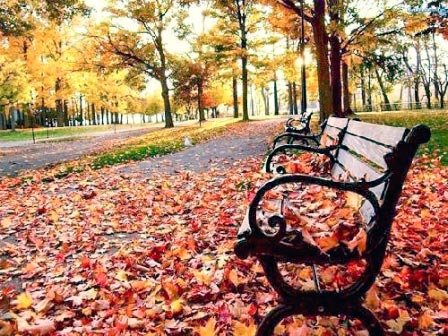 Cine se spală pe față? 67744