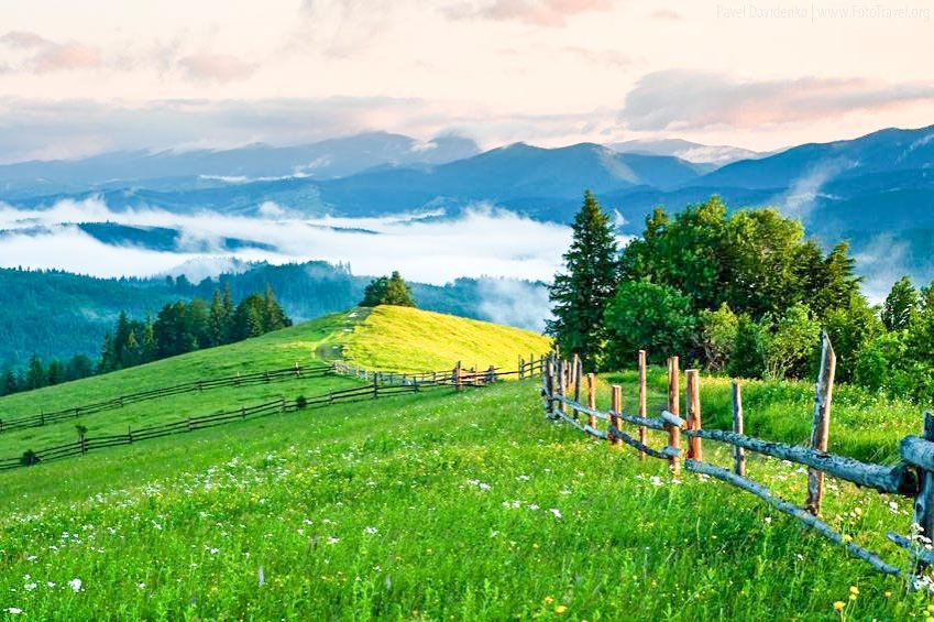 Fratele Laurențiu 67661