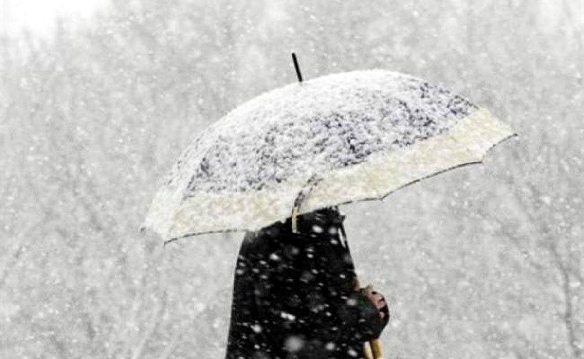 Ninsori slabe la sfârşit de an 67379