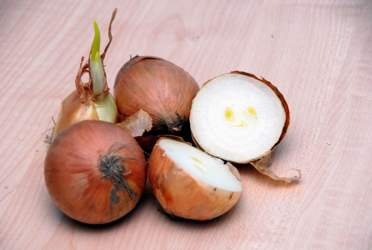 Tratamente naturiste în accidentele de iarnă 66966