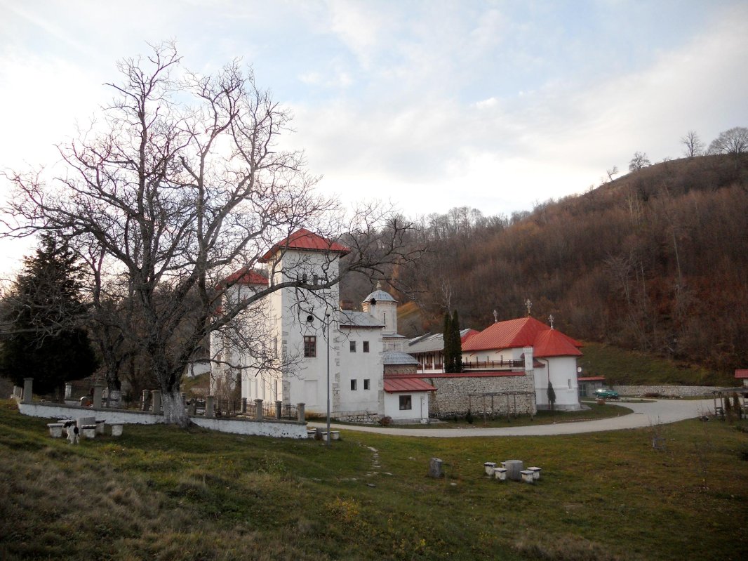 Arnota, loc al regăsirii de sine 66875