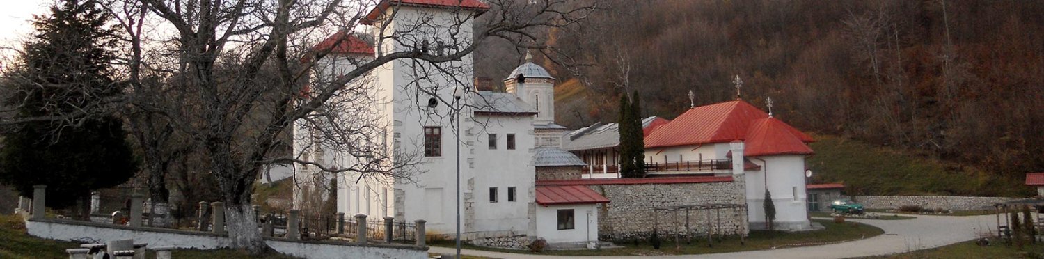 Arnota, loc al regăsirii de sine 66876