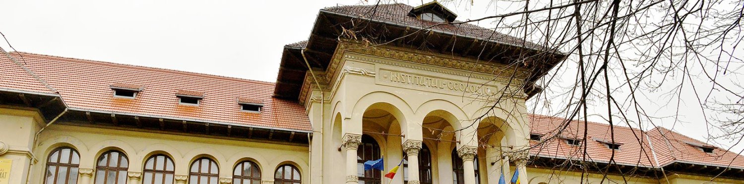 Locul unde pietrele povestesc trecutul 66760