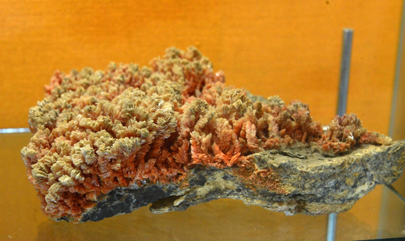 Locul unde pietrele povestesc trecutul 66761