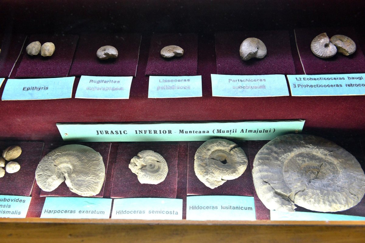 Locul unde pietrele povestesc trecutul 66766