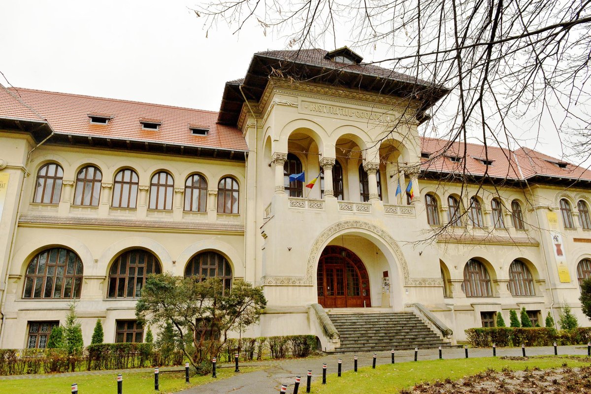 Locul unde pietrele povestesc trecutul 66767