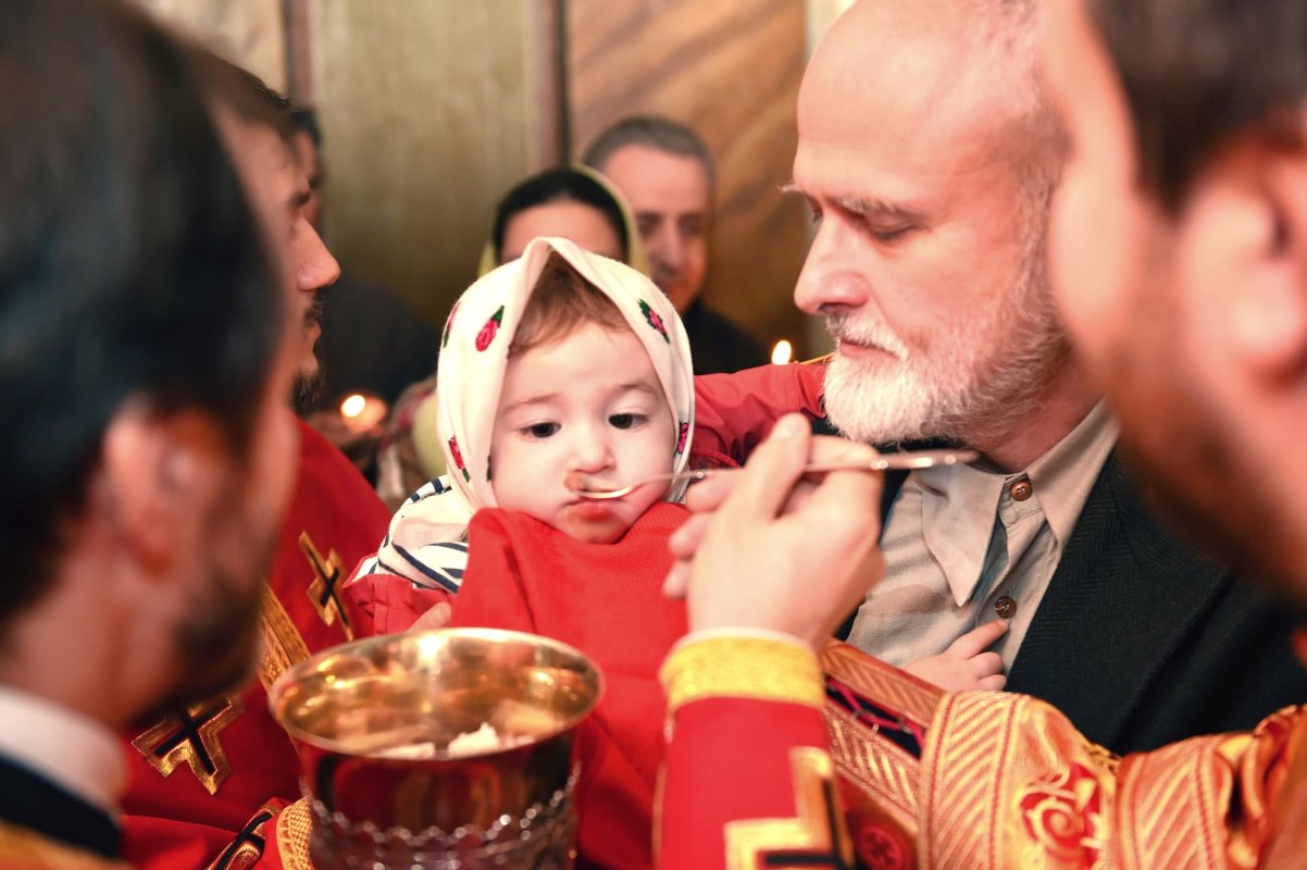 Familia este o prioritate constantă a misiunii Bisericii 66709