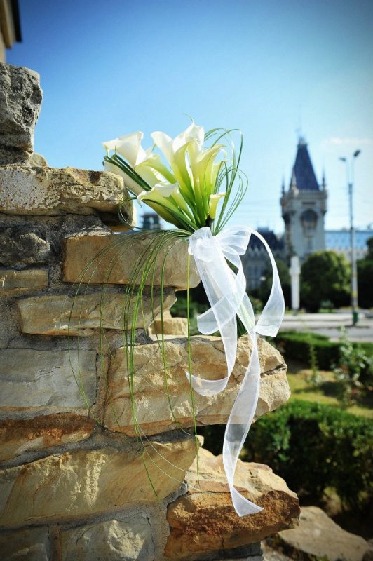 Parabola murdăriei 66602