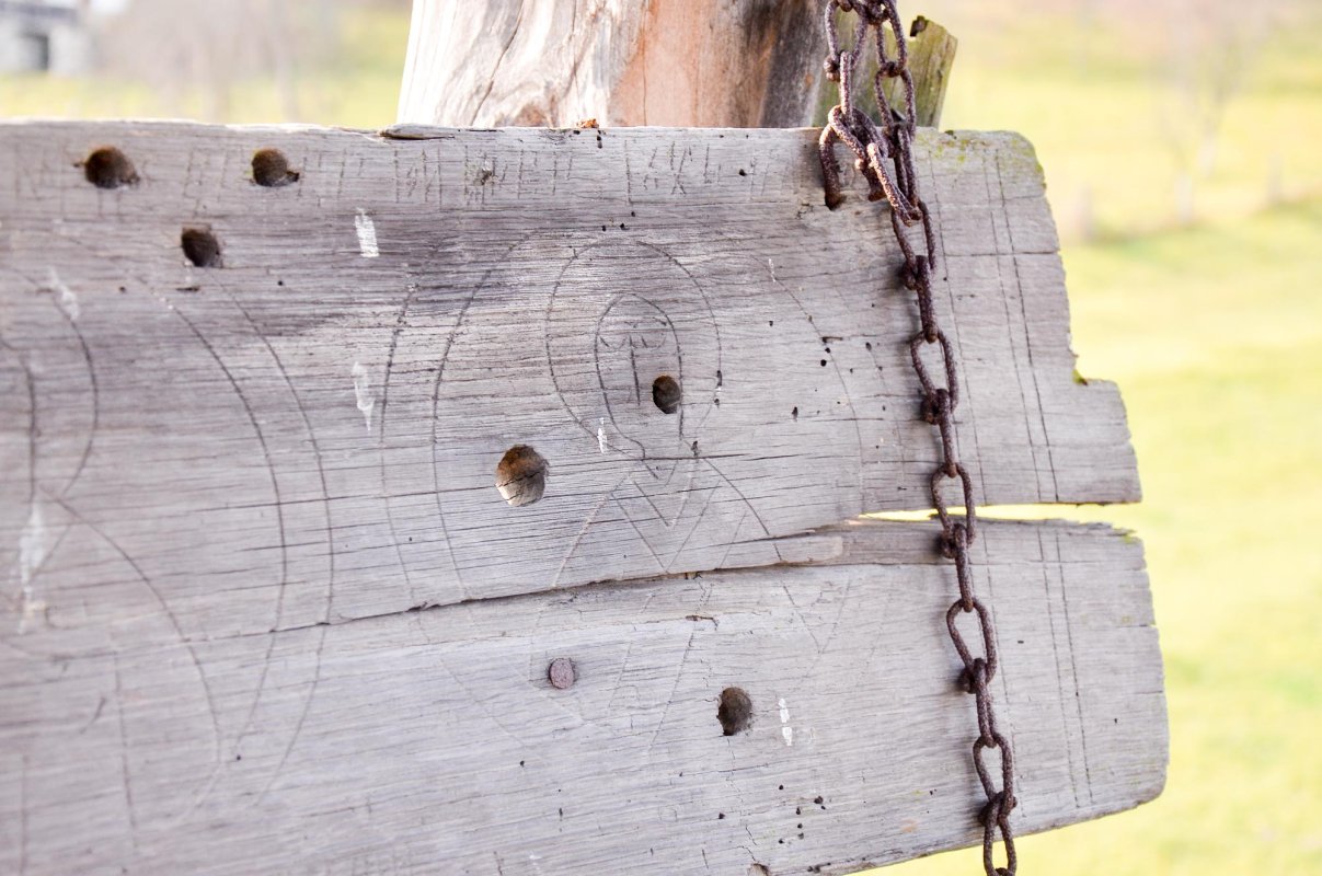 Cavalcada potecașilor din Viorești, Vâlcea 66464