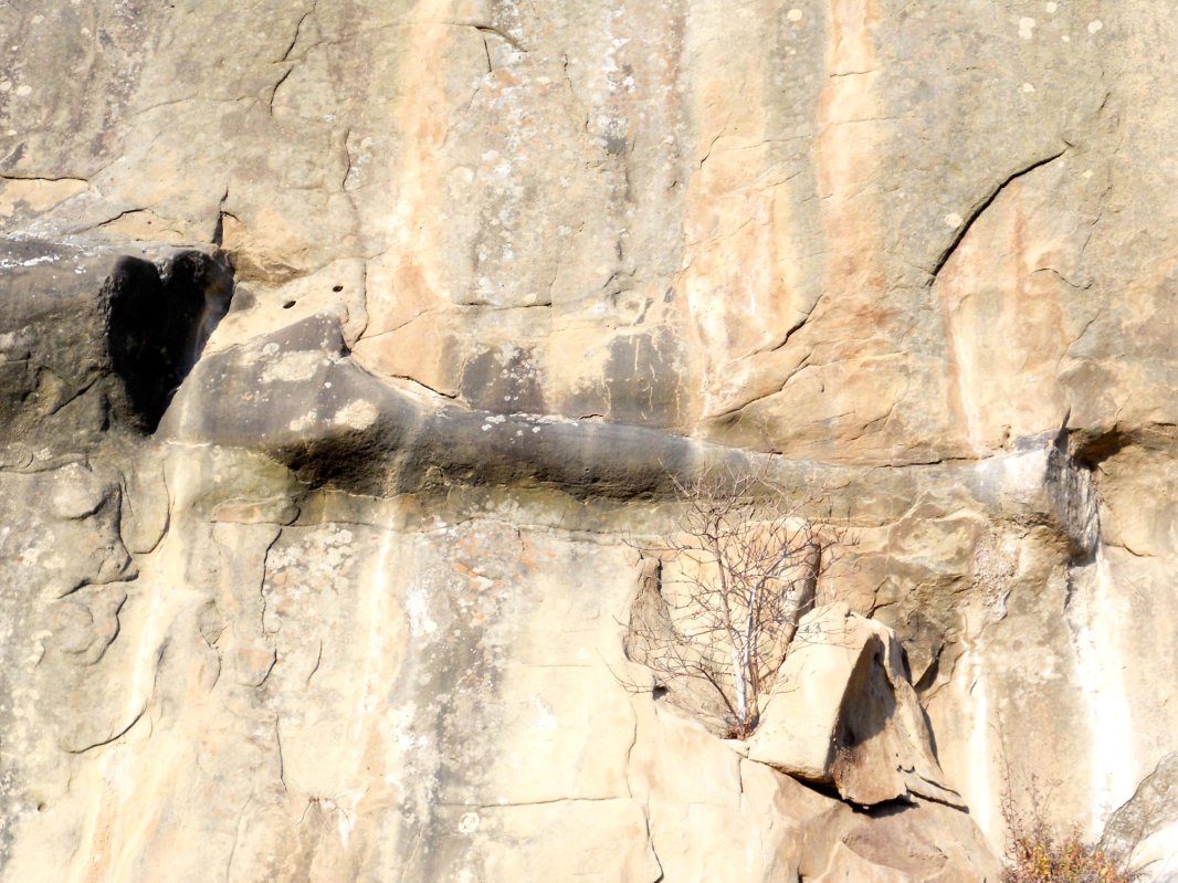 Curtea mamei Uța ca un tărâm al tainei 66390