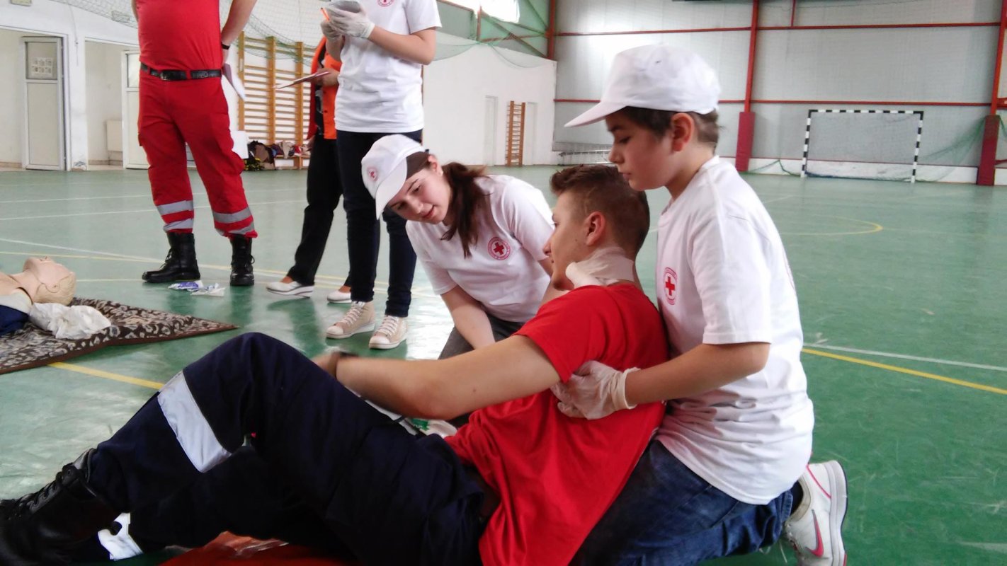 Programe de educaţie pentru sănătate 66355