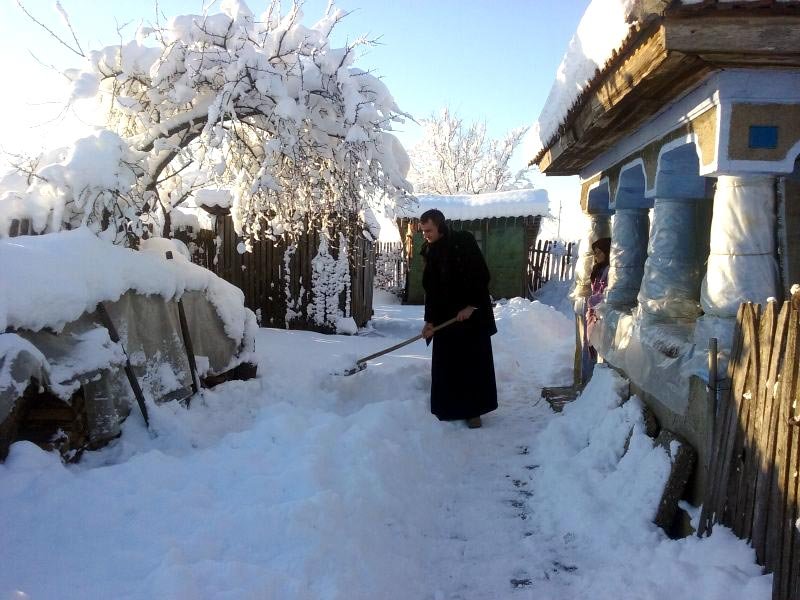 Argeșenii au fost alături de semenii aflați în nevoi 66260