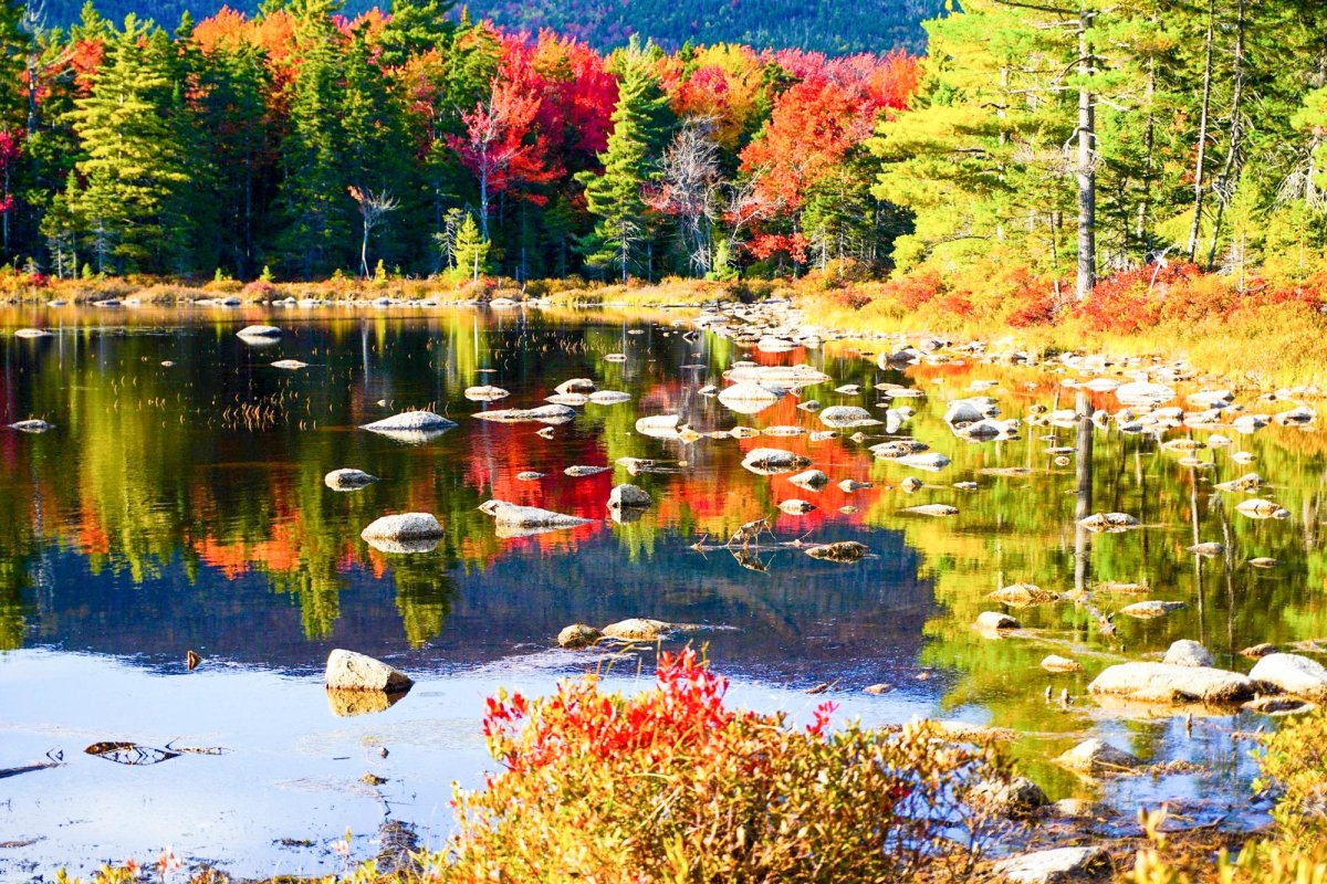 Haina de nuntă 66275