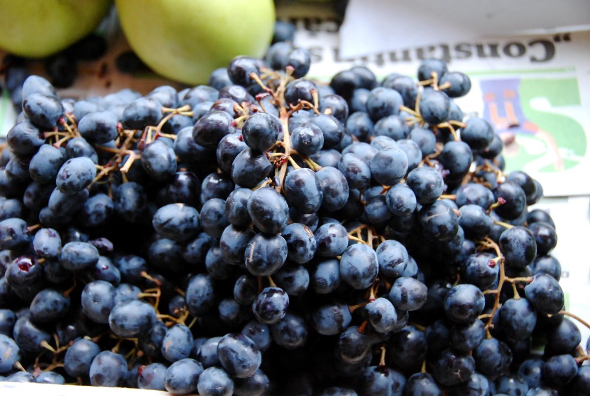 Despre abordarea tuberculozei în medicina naturistă 66227