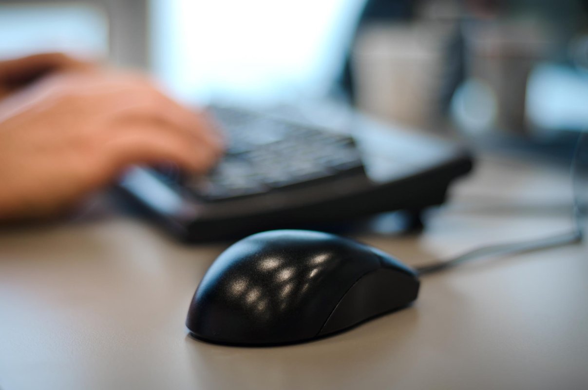 Trei sferturi din companii îşi caută clienţii pe internet 66104